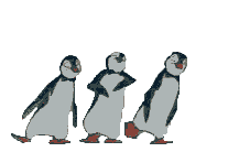 penguin