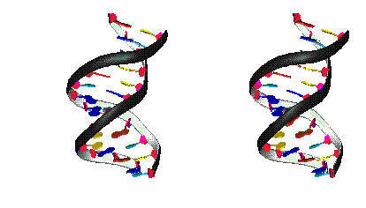 dna