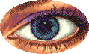eye